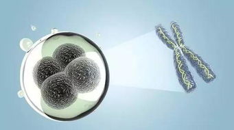 同是ncrna研究,你離國(guó)自然中標(biāo)還有多遠(yuǎn)